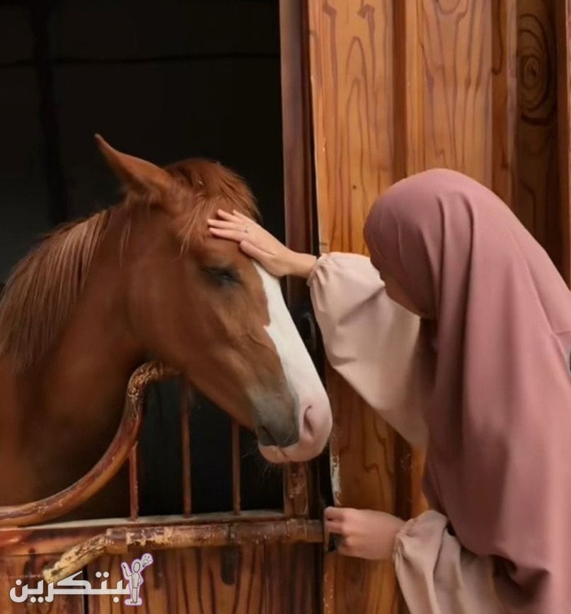 ستوريات بنات محجبات، جميلة جدا أكثر من 50+ صورة 3 ستوريات بنات محجبات