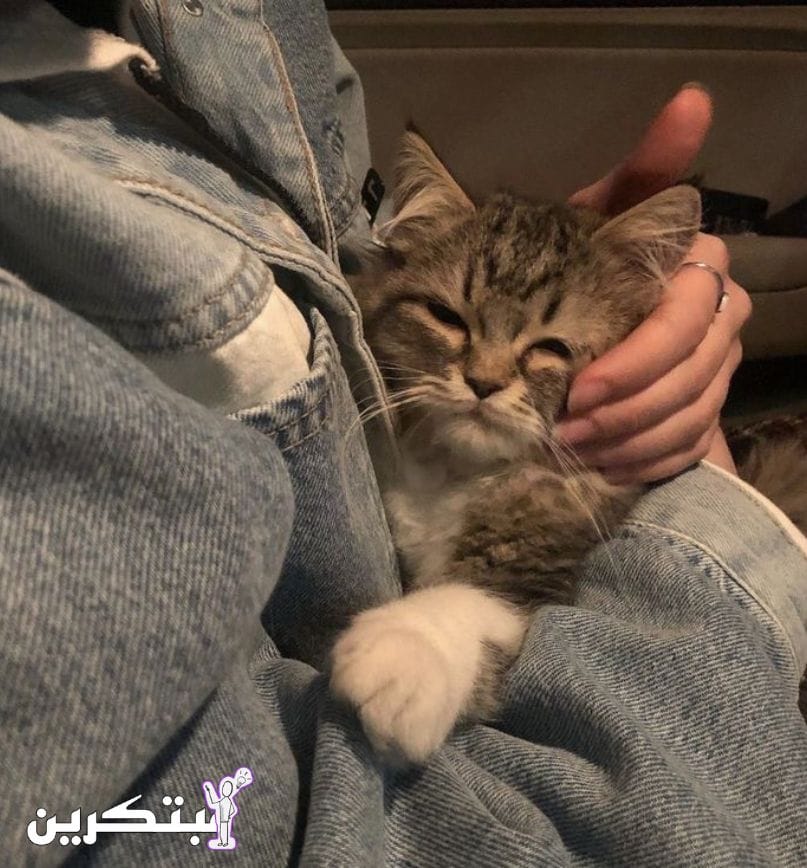 ستوريات بنات محجبات، جميلة جدا أكثر من 50+ صورة 6 ستوريات بنات محجبات